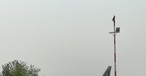 Airbus A320 von Qatar Airways in Kathmandu: Die Fluglinie ist vom Nachtflugverbot betroffen.