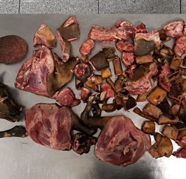 zoll muenchen ziege fleisch