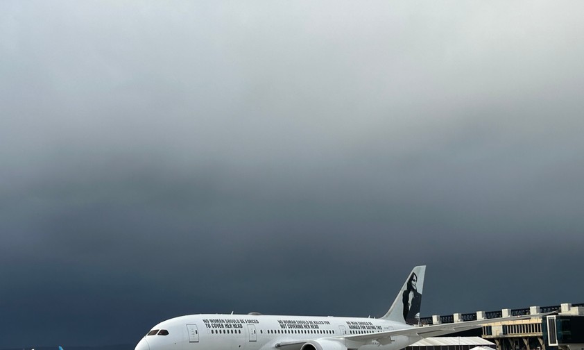Der Dreamliner von Enrique Piñeyro am 13. Januar in Frankfurt.