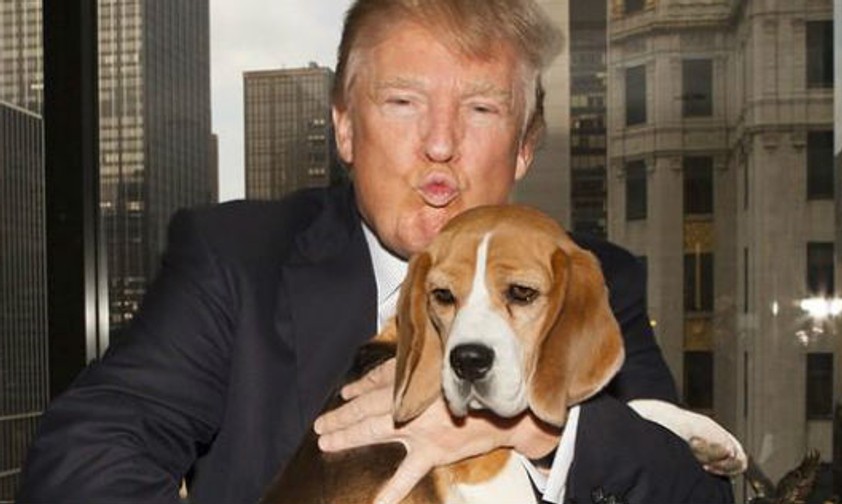 Donald Trump: Der Milliardär will für die Republikaner Präsident werden.