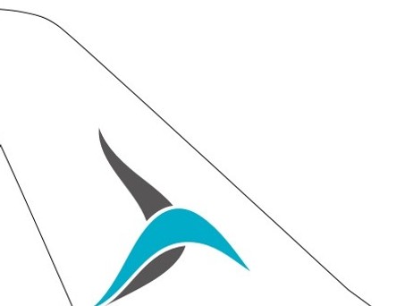 ticker-tailwind-airways