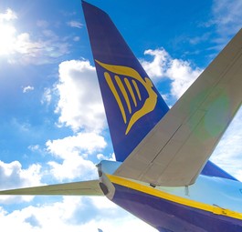 Ryanair-Flieger: Eine Katze hielt die Airline in Rom auf Trab.